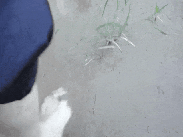 http://m.sxjiaxin.com/app-editor/ewebeditor/uploadfile/20250807/20250807102931926.gif