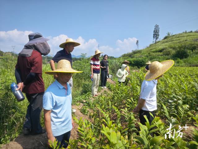 調(diào)解小組趕赴現(xiàn)場(chǎng)實(shí)地勘察。麥毅攝 調(diào)解小組趕赴現(xiàn)場(chǎng)實(shí)地勘察。麥毅攝