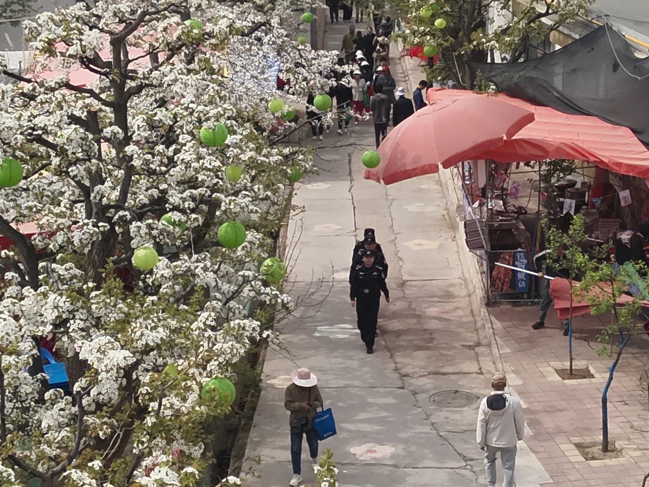 梨花節巡邏